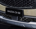CX50 CX90 Lower Mesh Grill