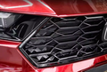 Accord 23-24 WG Grill Assembly