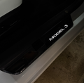 Tesla Premium Magnetic Induction LED Step Sill