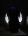 Tesla Side Mirror Angel Wing Puddle Light