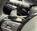 Honda OEM Aluminum Paddle Picks