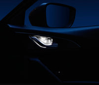Mazda 3 6 MX5 CX3 CX5 CX8 Interior Door Bowl Ambient Light LED