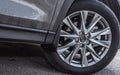 CX30 OEM Mudguard