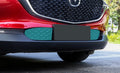 CX30 Lower Mesh Grill Cover