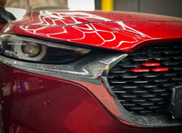 Mazda Colored Grill Trim Inserts